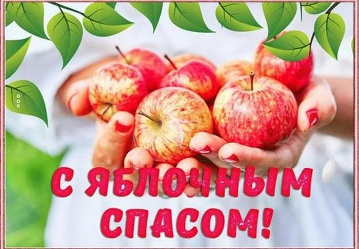 f847021d05c7fd753b10a51fc12d0c6c_w460_h320